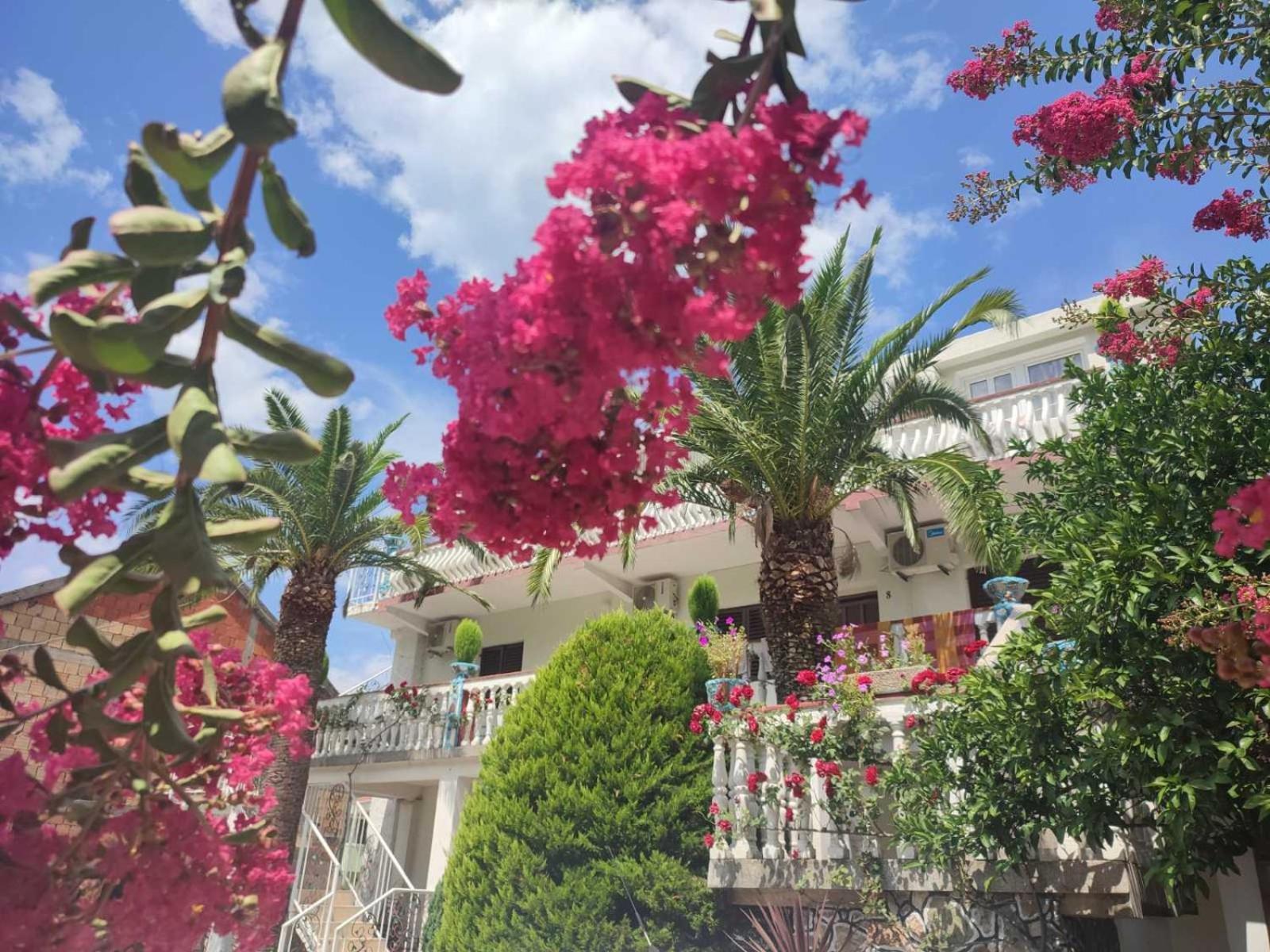 Apartments Radonjic بودفا المظهر الخارجي الصورة