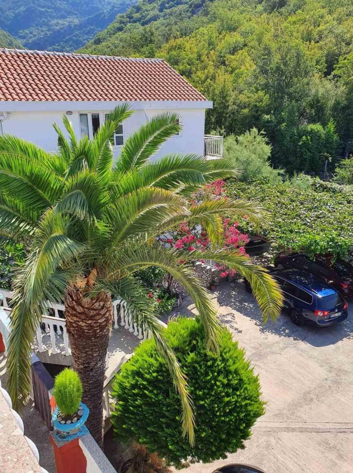 Apartments Radonjic بودفا المظهر الخارجي الصورة